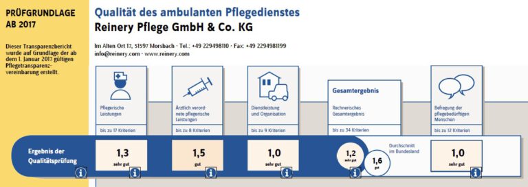 Infografik: Ergebnisse der Qualitätsprüfung vom 20.11.2024 des ambulanten Pflegedienstes Reinery Pflege